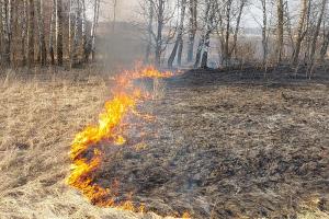 В Тульской области объявлен высокий класс пожароопасности .