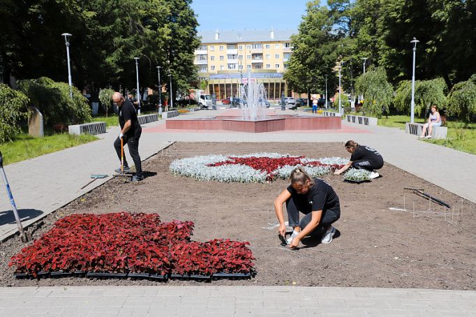 Почти 7 тысяч цветов высадят в сквере «Тулякам – Героям Советского Союза»