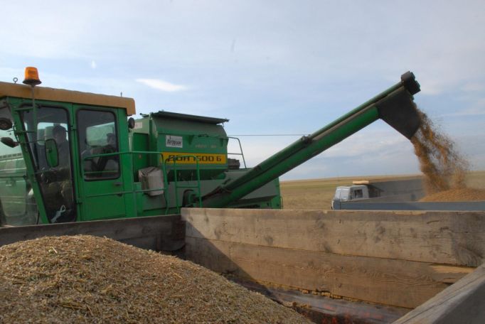 Владимир Путин: Поставки зерна в Африку и на Ближний Восток вырастут до 50 млн тонн