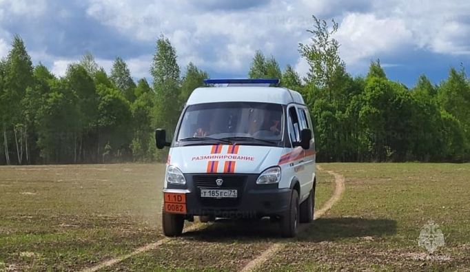 Спасатели в Тульской области обезвредили минометную мину