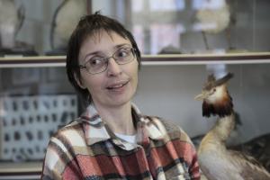 Доверься крыльям! - ведущий тульский орнитолог Ольга Швец о самых удивительных птицах.
